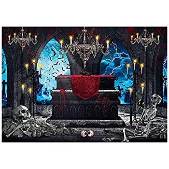 【中古】【輸入品・未使用】Allenjoy 7 x 5フィート ホラー ハロウィン 吸血鬼 クリプト背景 月光 中世の城 ゴシック 窓 墓地 ドクロ お化け屋敷装飾 シーンセッター バナー｜スカイマーケットプラス