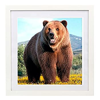 【中古】【輸入品・未使用】WOFFMX 16 x 16 ダイヤモンドペインティングピクチャーフレーム 14x14インチ/35x35cm マット付きまたは16x16インチ/40x40cm マットなし写真フレ
