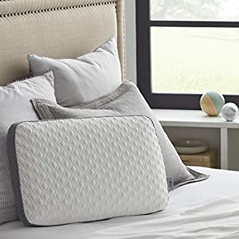 【中古】【インポート品・未当てはめる】Sealy (シーリー) 作り上げる記憶装置質問用紙 枕 判定基準 白いこと 薄墨色