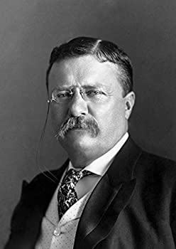 【中古】【輸入品・未使用】Posterazzi Portrait of President Theodore Roosevelt in 1904 ポスタープリント John Parrot/Stocktrek Images(11 x 17)、Varies|スカイマーケットプラス