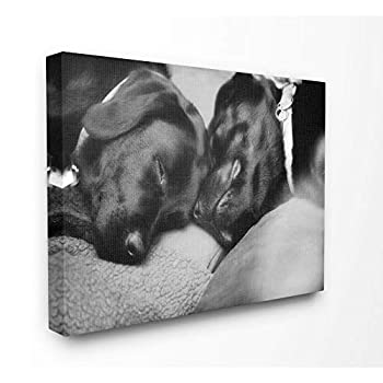 【中古】【輸入品・未使用】Stupell Industries かわいい抱きしめたくなる犬 ペット 動物 白黒 写真装飾 壁掛け 24x30 pwp-281_cn_24x30