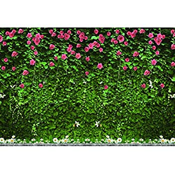 【中古】【インポート品・未当て嵌める】shensu ビニール 10x7フート ローマン的な花 緑のつる 壁周囲の状況 活動写真映画化用 ナチュラルフローラル 活動写真 周囲の状況 華燭の典 華燭の典 シャワー 女の その他-家電