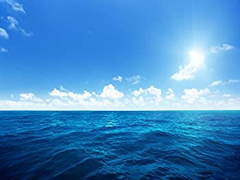 【中古】【輸入品・未使用】dzjyq 6.5?X 5ft (2?x 1.5?M) Sunライトブルー空海水ホワイトクラウドOcean景色背景写真背景234｜スカイマーケットプラス