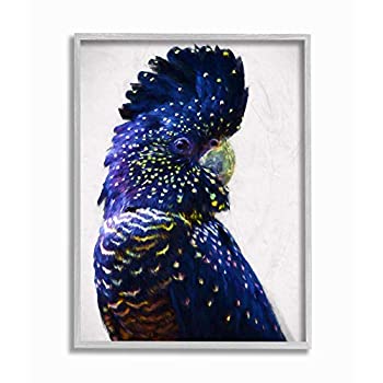 【中古】【インポート品・未当て嵌める】Stupell Industries トロピカルオウム真理教 鳥羽 青色 ゴールド ジャングルアニマル Urban Road Wall Artによる青写真 16 x 20in 薄墨色 フレ