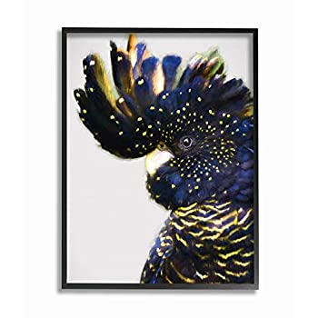 【中古】【輸入品・未使用】Stupell Industries オウム ポートレート ブルー イエロー 水玉 羽根 鳥 Urban Road Wall Artによるデザイン 60.96cm x 76.2cm ブラック フレー