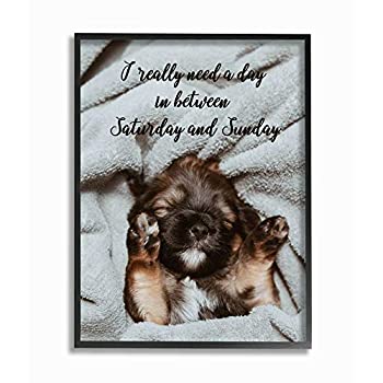 【中古】【インポート品・未当て嵌める】Stupell Industries スリーデイ土日音楽フレーズ 面白可笑しい犬ころ愛玩動物諧謔 Ziwei Li Wall Artによる青写真 24 x 30in 黒いこと一こま