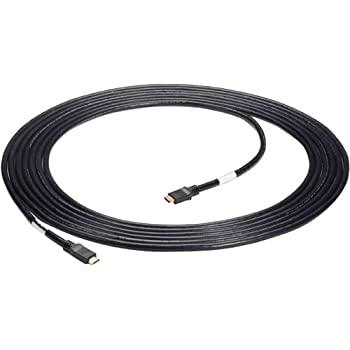 【中古】【インポート品・未当て嵌める】BLACK BOX VCB-HDMI-030M 割り増し金HDMI有線テレビ 雄/雄 30m (106フート)