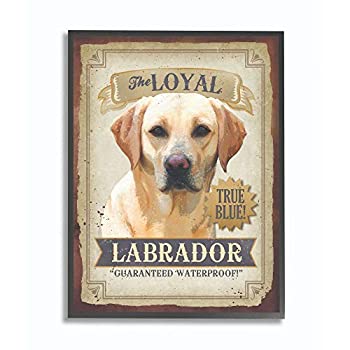 【中古】【インポート品・未当て嵌める】Stupell Industries 忠実忠実しいなラブラドールペット犬ビンテージポスター、絵書きRetrorocket Studioによるひな形、16 x 20、ブラックフレー