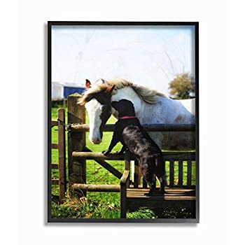 【中古】【インポート品・未当て嵌める】Stupell Industries 栽培所 馬と犬 毛の荒物 活動写真 黒いこと 一こま ウォール作物 24 x 30in マルチ色合い