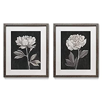【中古】【輸入品・未使用】Renditions Gallery 白黒の花 2枚 フレーム付きアートワーク セット カラフルな植物 フラワーアート カーネーション アンティーク調のシルバーフ