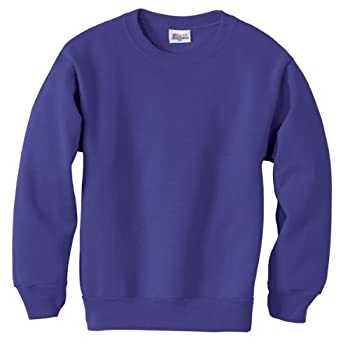 【中古】【輸入品・未使用】Hanes P360 Youth Comfort Blend Ecosmart Crewneck Sweatshirt Size - Large - Purple 8,954円