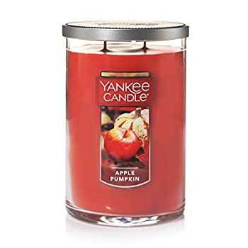 【中古】【インポート品・未当て嵌める】Yankee Candle Lサイズジャーキャンドル Large 2-Wick Tumbler Candle 赤いこと 1244656Z その他-バッグ・小物・ブランド雑貨