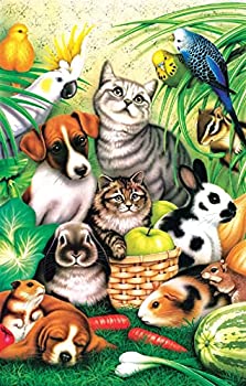 【中古】【輸入品・未使用】Sunsout 2019 ペット パレード アーティスト ハワード ロビンソン アニマル ジグソーパズル