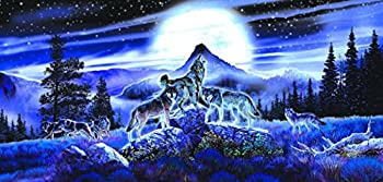 【中古】【輸入品・未使用】SunsOut ジグソーパズル　「ナイトウルフ(夜のオオカミ）」1000ピース｜スカイマーケットプラス 11,393円