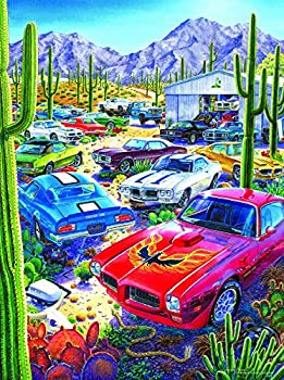 【中古】【輸入品・未使用】Sunsout 2019 アーティストマイケル・アーヴァインによる鳥聖域 1000ピース カーズ ジグソーパズル｜スカイマーケットプラス