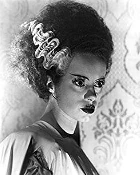 【中古】【輸入品・未使用】Posterazzi MINEVCMBDBROFEC105H フランケンシュタイン・エルサ・ランチェスターの花嫁 1935 写真プリント 8 x 10 10,718円