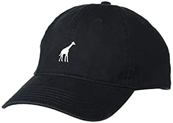 【中古】【インポート品・未当て嵌める】【LRG】エルアールジー 2021春夏 47 DAD HAT メンズ 旗がしら かぶり笠 アジャスタブルバック 滑るゲーム盤 波乗り 鳥打ち帽 ONE SIZE 4色つや B