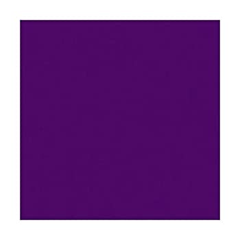 【中古】【輸入品・未使用】Rosco ROSCOLUX Mediumパープル、20?x 24?\