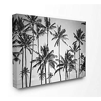 【中古】【輸入品・未使用】Stupell Industries ヤシの木 スカイライン 白黒写真 キャンバス ウォールアート 16 x 20インチ マルチカラー