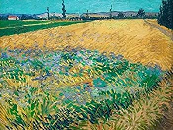 【中古】【輸入品・未使用】Posterazzi Not Applicable 11 x 14 Inch PDX3VG558SMALL