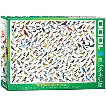 【中古】【輸入品・未使用】ジグソーパズル 1000ピース ユーログラフィックス 鳥の世界 6000-0821