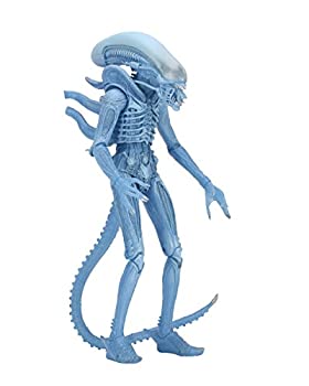 【中古】【輸入品・未使用】NECA Aliens 7\
