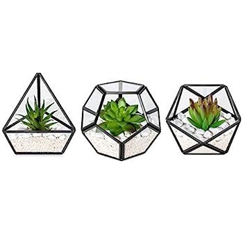 【中古】【輸入品・未使用】Mkono 人工多肉植物 ミニガラス 幾何学テラリウム ミニチュア鉢植え 造花 本棚 デスク ボーホー オフィスルーム 装飾 レディース ガールズ 寮の
