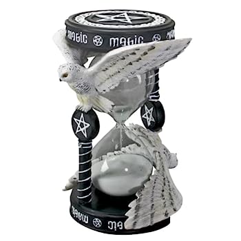 【中古】【輸入品・未使用】Pacific Giftware マジカルバード ハーフ0時間 サンドタイマー 新婚のホームデコレーション リビングルームやキッチンのユニークな装飾 4.25イン