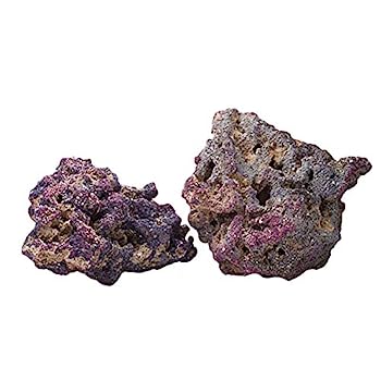 【中古】【インポート品・未当て嵌める】Life Rock Display by Carib Sea