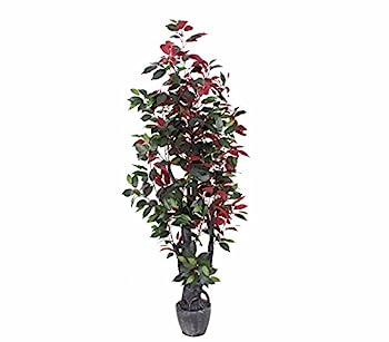 【中古】【輸入品・未使用】AMERIQUE, グリーン ゴージャス フィカス カペンシアの木 人工シルク植物 ツイストトランクス 育児用鉢 6フィート