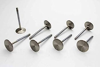 【中古】【輸入品・未使用】Manley 113658 バルブ/セット8