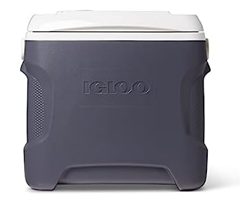 【中古】【インポート品・未当て嵌める】Igloo 40369 28 Qt. Iceless 28 Thermoelectric Cooler, Silver
