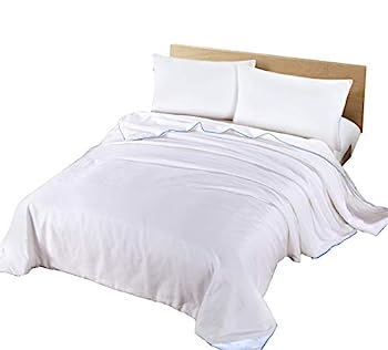 【中古】【インポート品・未当て嵌める】地絹100%キャメルシルク掛け布団 全時節 ロングストランドマルベリーシルク Queen Size - 86 インチ X 90 インチ WN-コマーシャル-002