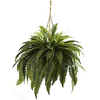 【中古】【輸入品・未使用】Nearly Natural 6788 ダブルジャイアントボストンシダ吊り下げバスケット グリーン