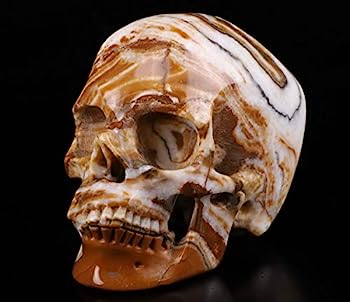【中古】【輸入品・未使用】Skullis 5インチ イースタンジャスパー超リアルなクリスタルスカル、手彫りの宝石ファインアート彫刻、レイキヒーリングストーン像987｜スカイマーケットプラス 81,250円