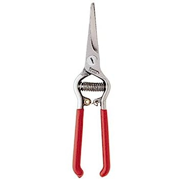 【中古】【輸入品・未使用】(1) - Corona FS4350 19.7cm Flower Thinning Shears