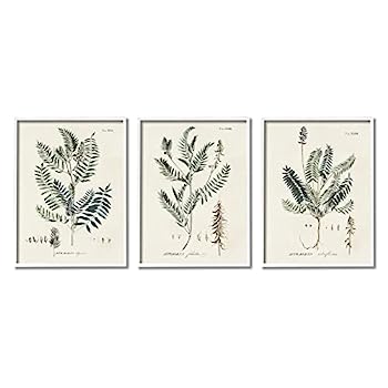 【中古】【インポート品・未当て嵌める】Stupell Industriesグリーンボタニカルラテンスタディビンテージハーブモチーフ図、マティーニデザイン
