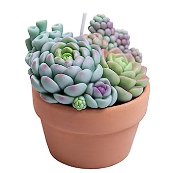 【中古】【インポート品・未当て嵌める】多肉植物 ポット 芳ばしさ付き添い人蝋燭 スパ 介護ホームかざり付ける 婚礼の儀差し上げ物 キッチン用品・食器・調理器具-その他