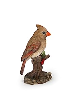 【中古】【インポート品・未当て嵌める】ハイラインギフト 根っこに乗った盛りだくさんな鳥 (成人女性枢機卿)