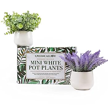 【中古】【輸入品・未使用】GreenCallow セラミックポット 2個パック ミニ鉢植え フェイク植物 人工ユーカリラベンダー 自宅 オフィス デスクシェルフ シャワー キッチン セ