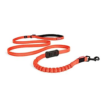 【中古】【インポート品・未当て嵌める】EzyDog無しぼうぜん自失LeashリーシュLite、72in 72\