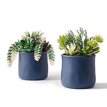 【中古】【インポート品・未当て嵌める】ASTRIDIA 人工多肉植物 陶器ポット入り口・入口 2容器に並べる 大きなまがい物草木 ネイビーブルー 机 執務室 臥し所 リビング御部屋 2階建てバス御部屋 オフィ