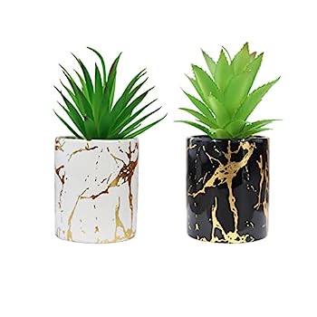 【中古】【輸入品・未使用】フェイク多肉植物 モダン 大理石 セラミックポット 金色の質感 黒と白のセラミックポットに (水抜き穴なし) ホーム オフィス 装飾 バスルーム カ｜スカイマーケットプラス