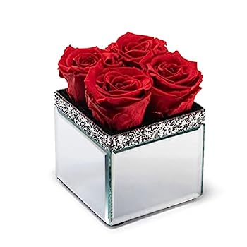【中古】【インポート品・未当て嵌める】Soho Floral Arts | 鏡鑑花立てパヴェアクセント | 何年も持ちこたえるする本物の薔薇 | 箱に入った果てしが無いの薔薇 (赤、4)