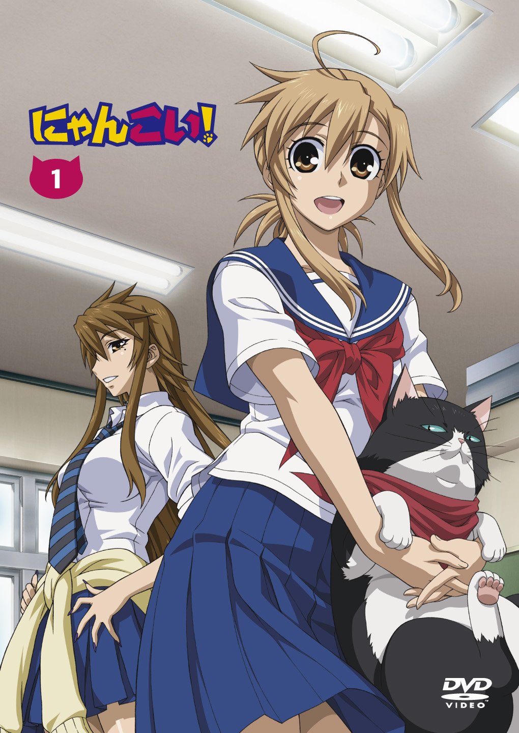 【中古】【非常に良い】にゃんこい! 1 (DVD 初回限定版)画像