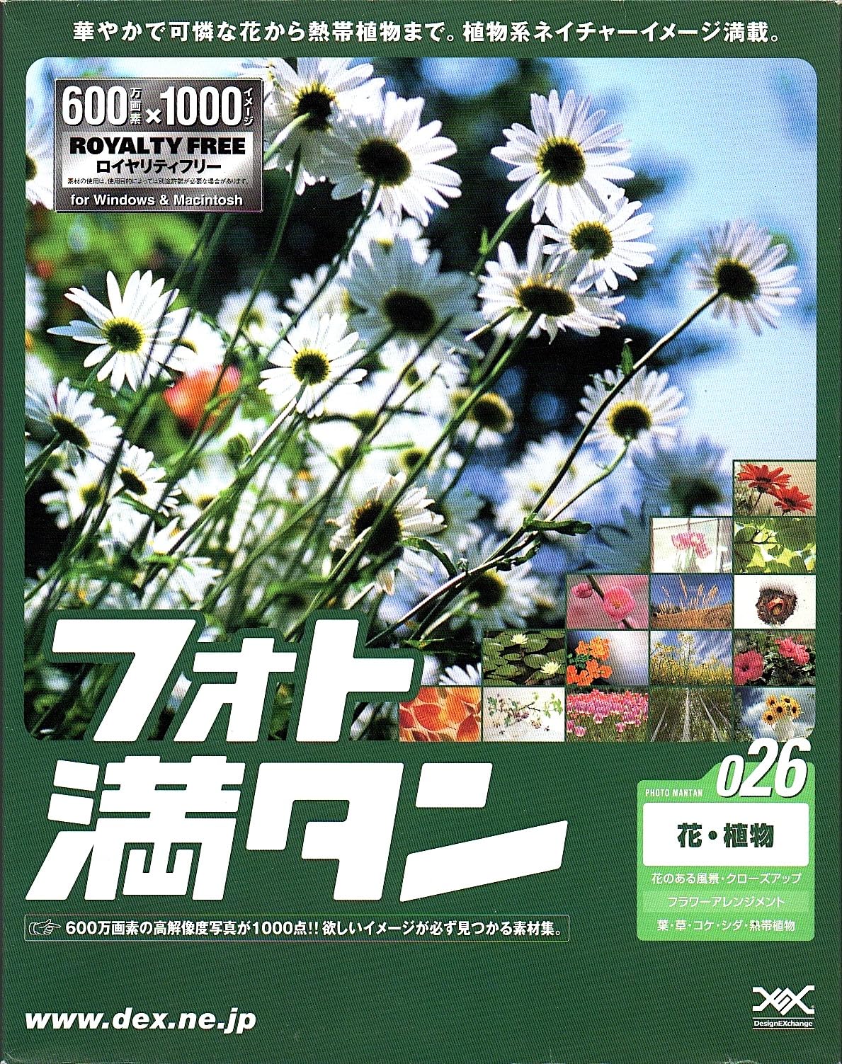 【中古】【人並み外れたに似つかわしい】写真絵満タン 026 花・草木