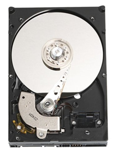 【中古】【非常に良い】WesternDigital Caviar 3.5インチ内蔵型HDD 250GB/S-ATA WD2500JS