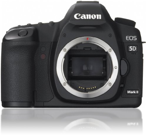 【中古】【人並み外れたに好いたらしい】Canon デジタル一眼二眼レフ写真機 EOS 5D MarkII 上半身