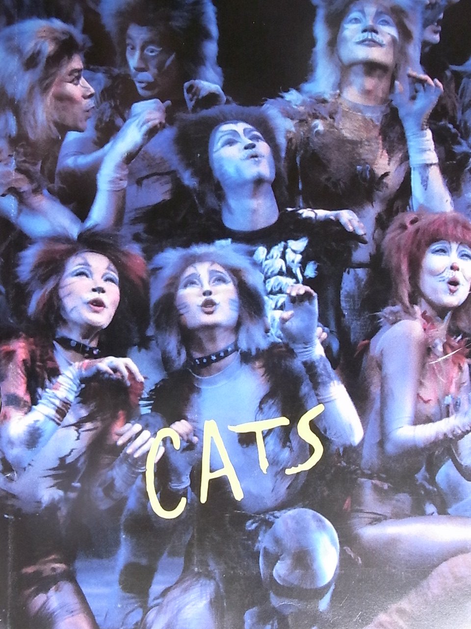 【中古】【非常に良い】舞台パンフレット 劇団四季 キャッツ CATS 1983年公演 市村正親 山口祐一郎 芥川英司 前田美波里 保坂知寿 野村玲子｜スカイマーケットプラス