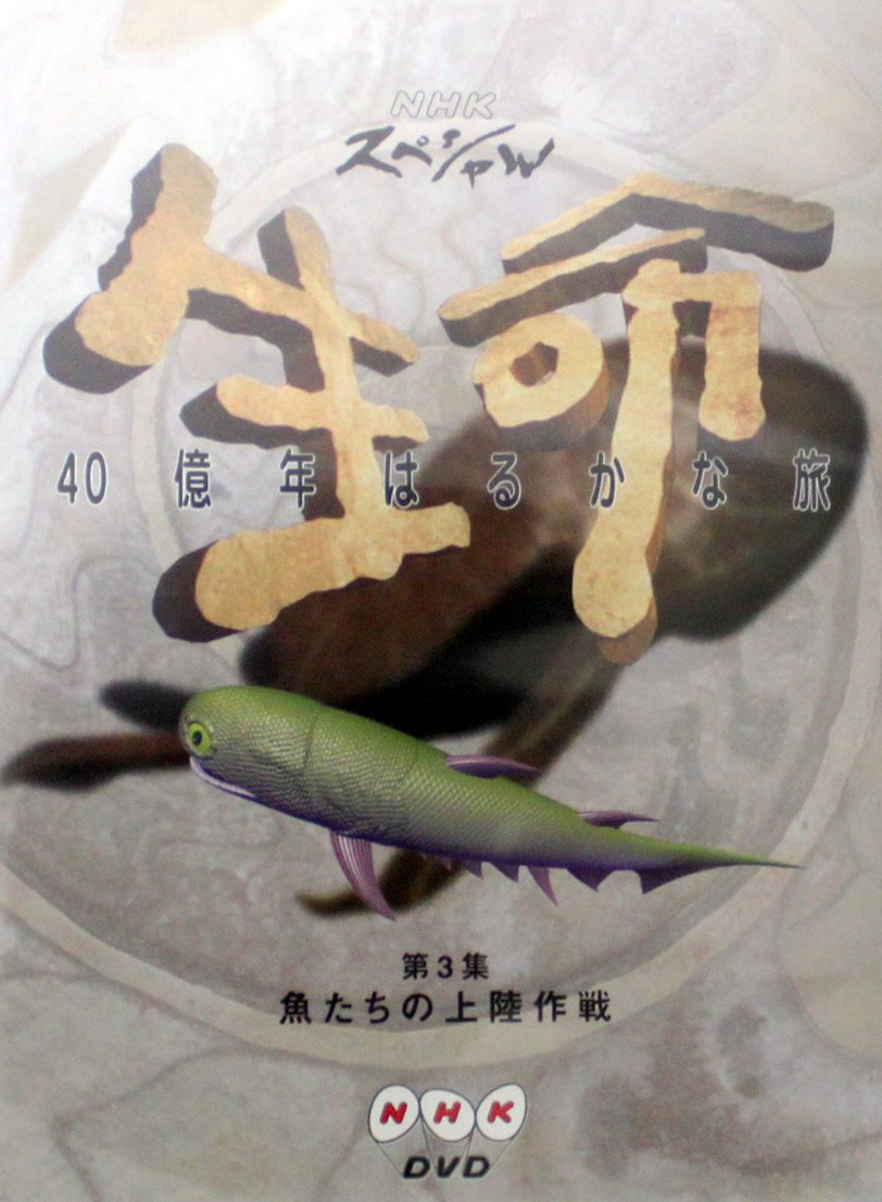 【中古】【非常に良い】NHKスペシャル 生命40億年はるかな旅 第3話:魚たちの上陸作戦 [DVD]｜スカイマーケットプラス